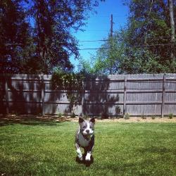 Fundraising Page Image