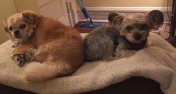 Fundraising Page Image