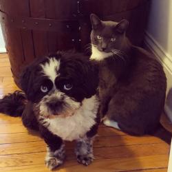 Fundraising Page Image