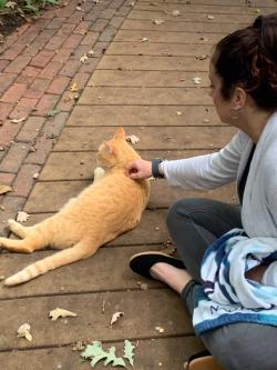 Fundraising Page Image